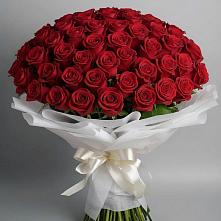 Букет 101 Красная роза Блэк Мэджик в Медведовской