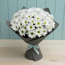 Букет цветов из:  Хризантемы в Медведовской
