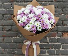 Букет цветов из:  Хризантемы #REPLACE_PRED# Медведовской