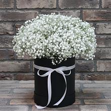 Цветочная композиция из Гипсофила в шляпной коробке в Медведовской