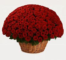 Премиум букет из: Розы в Медведовской