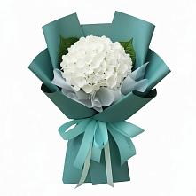 Букет цветов из:  Гортензия в Медведовской